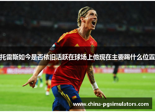 托雷斯如今是否依旧活跃在球场上他现在主要踢什么位置