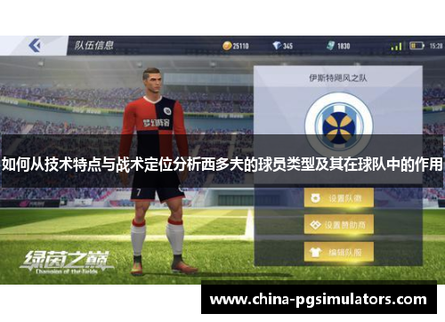 如何从技术特点与战术定位分析西多夫的球员类型及其在球队中的作用
