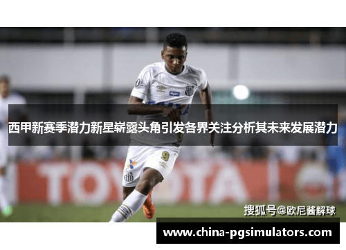 西甲新赛季潜力新星崭露头角引发各界关注分析其未来发展潜力