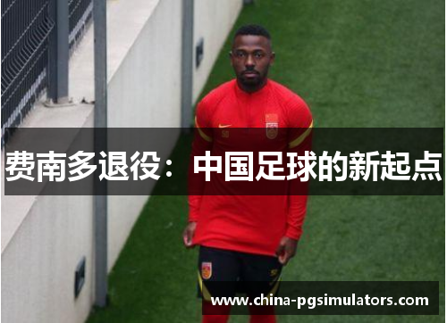 费南多退役：中国足球的新起点