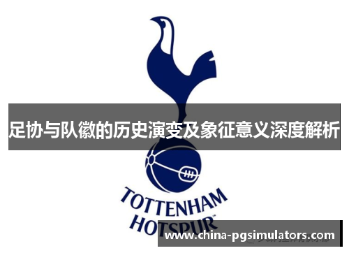 足协与队徽的历史演变及象征意义深度解析