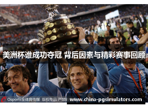 美洲杯谁成功夺冠 背后因素与精彩赛事回顾