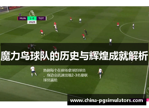 魔力鸟球队的历史与辉煌成就解析
